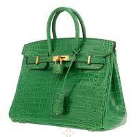 Hermès Hermès Birkin 25 cm handbag in Vert Cactus porosus crocodile | Paris 🇫🇷