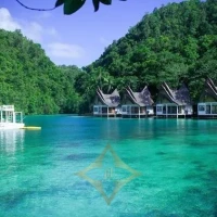 Private Island In The Philippines for Sale - An Exclusive Refuge In A Paradise Environment | Palawan 🇵🇭