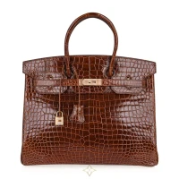 Hermes Limited Edition Birkin 35 Diamond Miel Porosus Crocodile for Sale | FL 🇺🇸