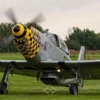 2021 TITAN T-51D MUSTANG for Sale | Henstridge 🇬🇧
