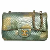 Chanel Iridescent Python Mini Shoulder Bag | Vancouver BC 🇨🇦