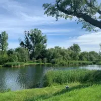 Versatile Freehold Building Plot – Mühlwasser Area | Vienna 🇦🇹