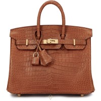 Hermès Gold Matte Porosus Crocodile Birkin 25 Gold Hardware, 2024 | Central 🇭🇰