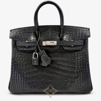Hermès Black Matte Alligator Birkin 25 Palladium Hardware, 2025 | 🇭🇰