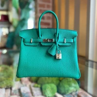 HERMES Birkin 25 Togo Satchel Bag | Florida 🇺🇸