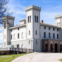 Modern Castle With Vineyard In Tuscany for Sale | Livorno 🇮🇹