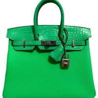 Hermès Vert Comics Togo and Alligator Birkin Touch 25 Palladium Hardware, 2023 | Paris 🇫🇷