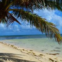 Four Parcels of Land in Habaneros Beachfront for Sale | San Pedro 🇧🇿