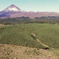 1,300-hectare Farm for Sale - Excellent projection of tourism and forestry development | Araucania 🇨🇱