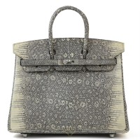 HERMÈS Birkin 25 Ombre Lizard Palladium Square O (2011 | Tokyo 🇯🇵