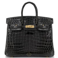 HERMÈS Birkin 25 Graphite Niloticus Crocodile D (2019) | Tokyo 🇯🇵