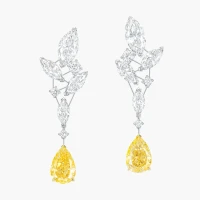 4.69 carat Pear Shape Fancy Yellow and White Diamond Earrings | Central 🇭🇰
