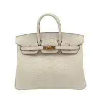 HERMES BIRKIN 25 BETON ALLIGATOR MATT GOLD HARDWARE B STAMP | Tokyo 🇯🇵