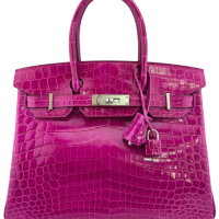 Hermès Rose Scheherazade Niloticus Crocodile Birkin 30 | Paris 🇫🇷