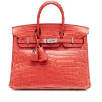 Hermès Rouge Indien Matte Niloticus Crocodile Birkin 25 | Paris 🇫🇷