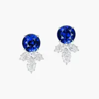 8.40 carat Round Cut Ceylon Sapphire and Diamond Earrings | Central 🇭🇰