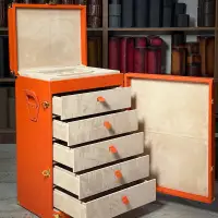 WATCH Cabinet - Togo Orange For 94 Watches | Malatya 🇹🇷