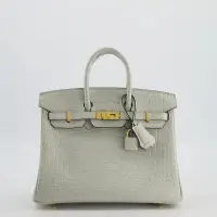 HERMÈS BIRKIN 25 GRIS NEVE MATTE ALLIGATOR MISSISSIPPIENSIS LEATHER | London 🇬🇧