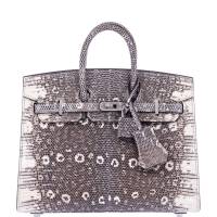 Hermès Birkin 20 Sellier Ombré Varanus Salvator Lizard Palladium Hardware | NY 🇺🇸