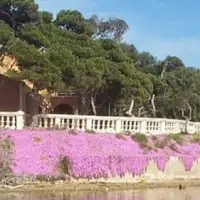 Santa Maria Island, With Mansion And Olive Grove | Villaggio San Teodoro, Sicily, 🇮🇹