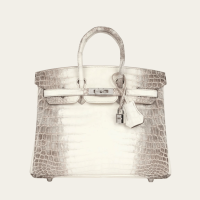 Hermès Himalaya Birkin 25 Niloticus Crocodile Diamond Encrusted | FL 🇺🇸
