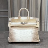 Hermès Himalaya Birkin 25 Niloticus Crocodile | FL 🇺🇸