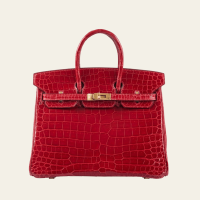 Hermès Braise Birkin 25 Shiny Porosus Crocodile Gold Hardware | FL 🇺🇸