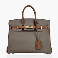 Hermes Birkin 25 Gris Mouette/Gold Togo PBHW | Helsinki 🇫🇮