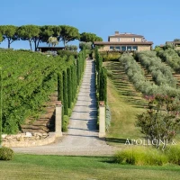 Villa La Maremma for Sale | Massa Marittima, Tuscany 🇮🇹