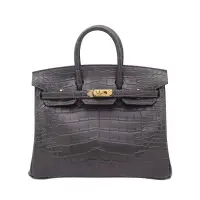 HERMES BIRKIN 25 GRAPHITE ALLIGATOR MATTE GOLD HARDWARE K STAMP | Tokyo 🇯🇵