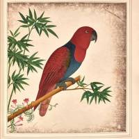 Album Of Watercolors Of Flowers, Fruit And Silkworms Circa 1800 | CA 🇺🇸