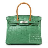 HERMÈS BIRKIN 30 TOUCH CACTUS/NATUREL-SABLE MATTE ALLIGATOR | Richmond 🇨🇦