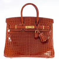 Hermès Birkin 25 Étrusque Shiny Niloticus Crocodile Gold Hardware | NY 🇺🇸