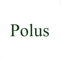 POLUS WATCHES